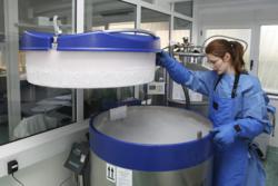 Provia Labs provides expertise in biobanking and cyropreservation of human biospecimens.